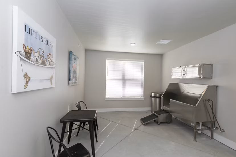 Dog grooming area with washing station at Annabelle on Main Apartments, offering convenience for pet owners in this luxury community