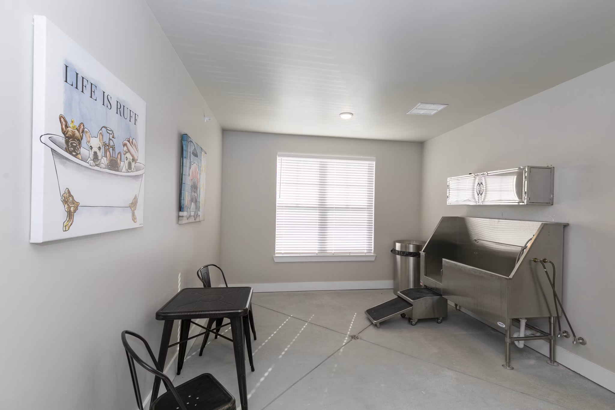 Dog grooming area with washing station at Annabelle on Main Apartments, offering convenience for pet owners in this luxury community