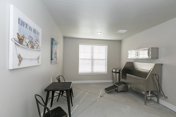 Dog grooming area with washing station at Annabelle on Main Apartments, offering convenience for pet owners in this luxury community