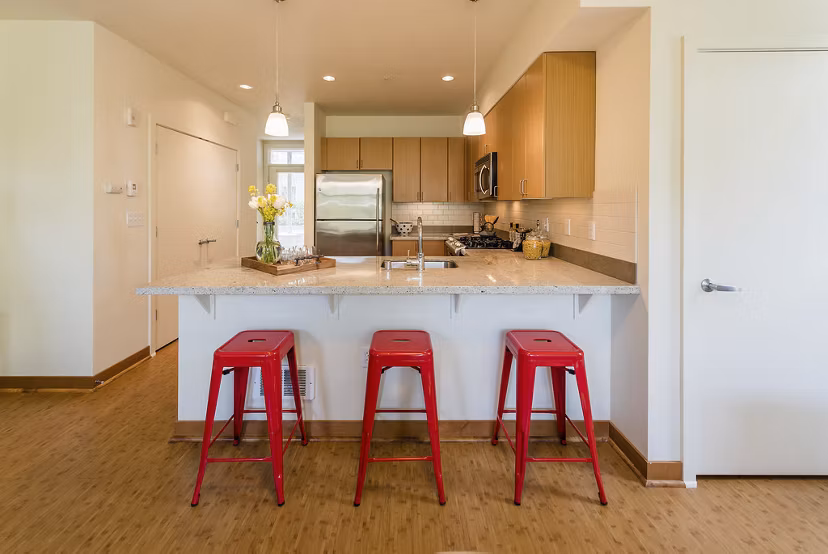 Modern kitchen with stainless steel appliances in Thornton Place Apartments