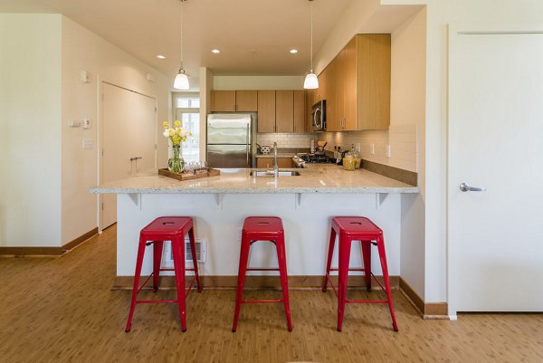 Modern kitchen with stainless steel appliances in Thornton Place Apartments