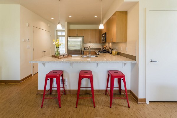 kitchen at Thornton Place Apartments