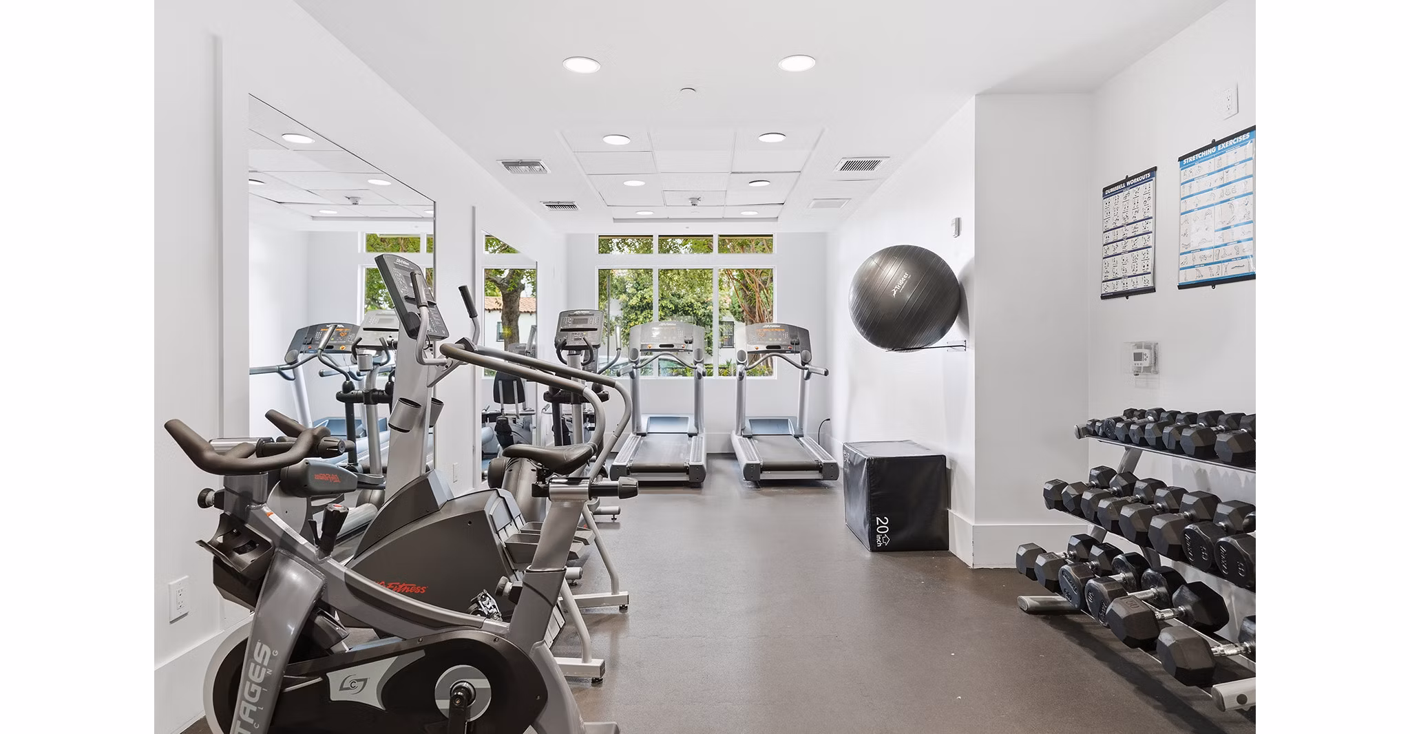 Fitness Center at Broadstone Miracle Mile Apartments