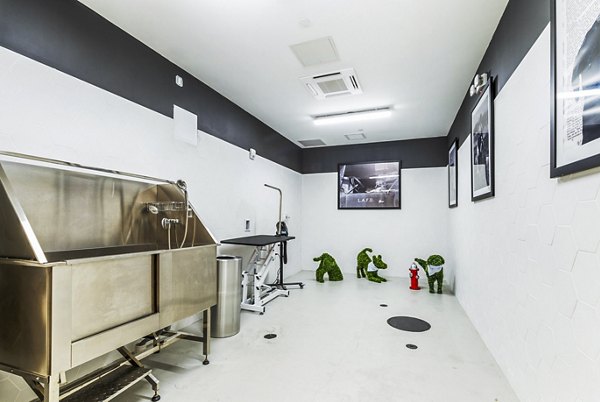 Convenient dog wash station at Crest at Pinecrest Apartments, perfect for pet owners seeking luxury living in a Greystar community