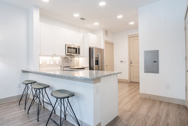 Modern kitchen with stainless steel appliances at Alexan Braker Pointe Apartments in Austin, ideal for luxurious cooking and dining experiences