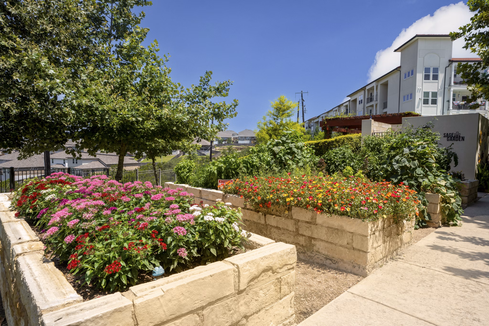 grill area at Sage Stone Oak Apartments
