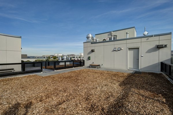 Dog park at mResidences South Lake Union with green play area and seating options for residents
