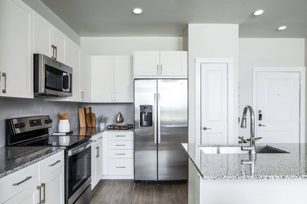 Modern kitchen with white cabinets and stainless steel appliances in luxury apartments