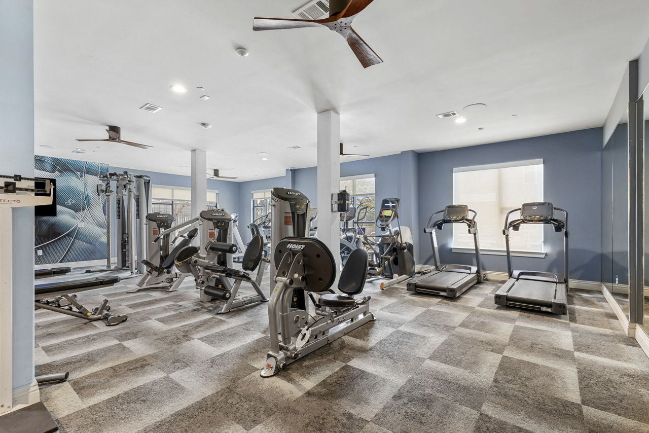 Gym at The Briscoe (1 of 3)