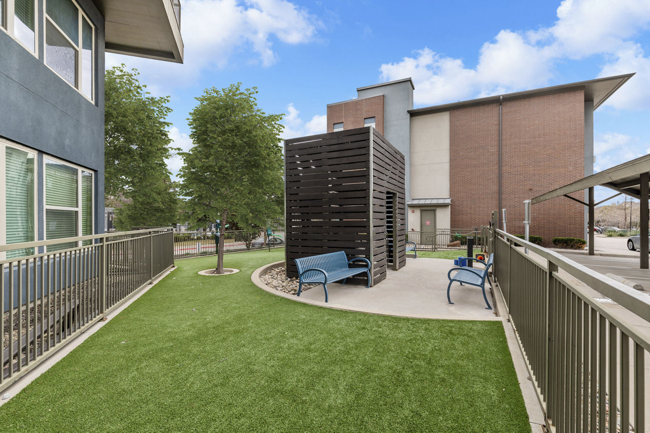 Dog park at The Briscoe (1 of 2)
