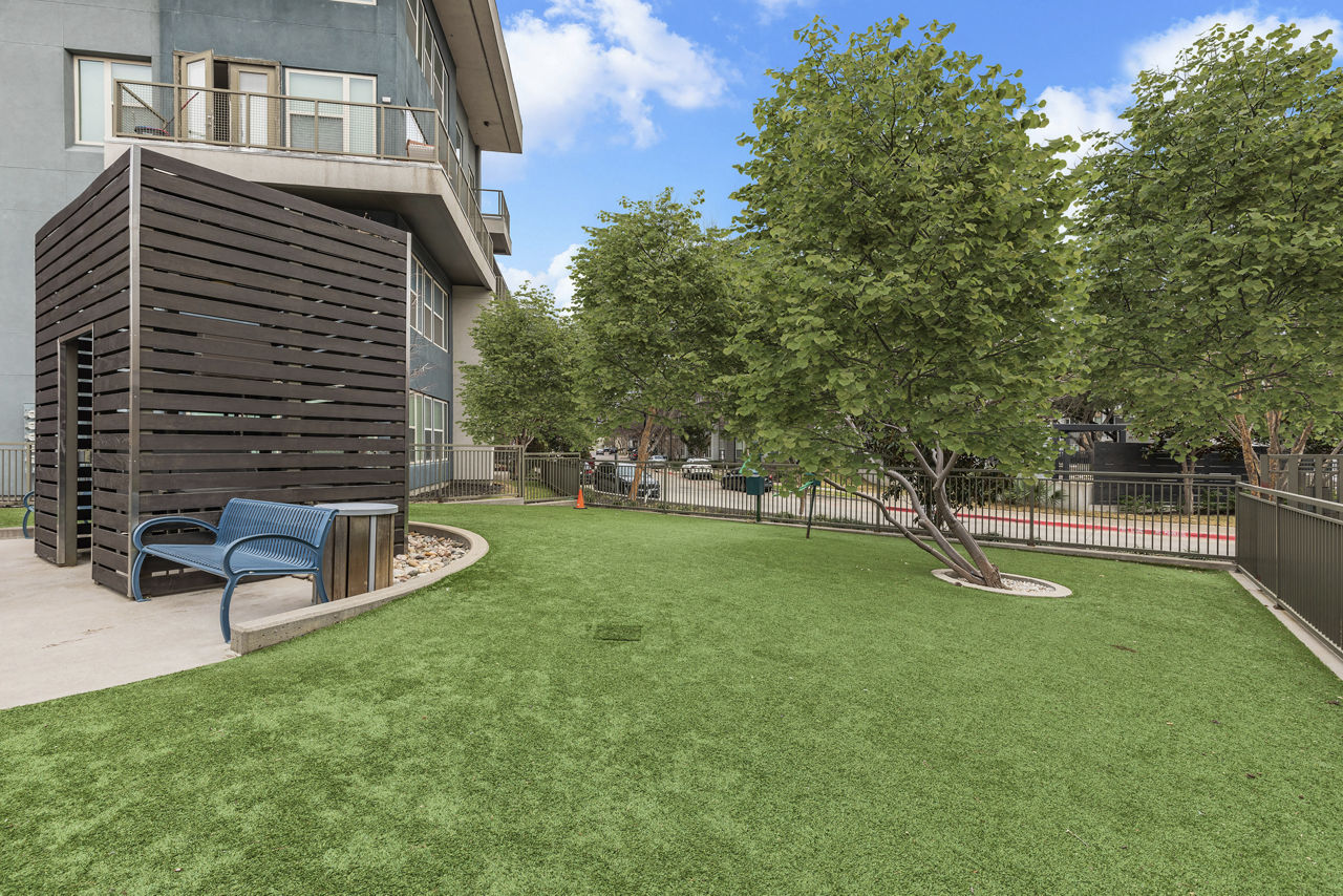 Dog park at The Briscoe (2 of 2)