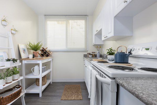 kitchen at Coronado Apartments