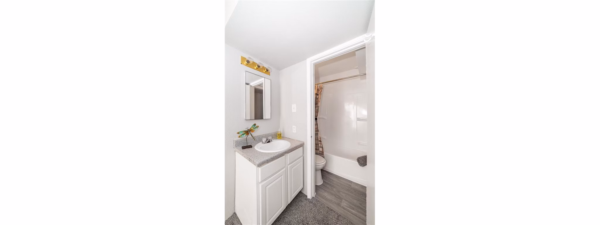 Modern bathroom with elegant fixtures at Carelton Courtyard Apartments