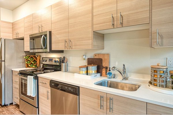 Kitchen featuring sleek countertops and stainless steel appliances at Ethos Apartments