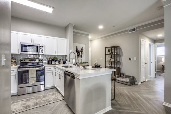 Modern kitchen with stainless steel appliances and granite countertops at Equinox on the Park Apartments
