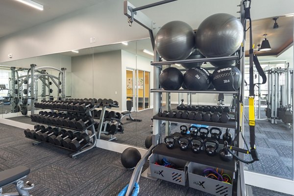 fitness center at The Madison Apartments
