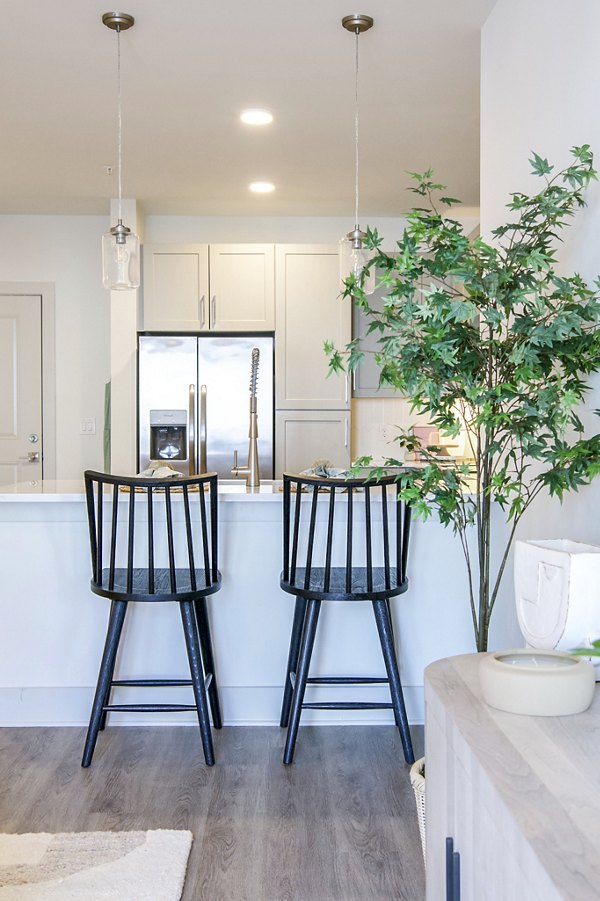 Modern kitchen with stainless steel appliances in Lakehouse on Wylie Apartments