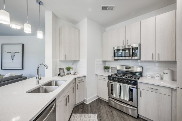 Modern kitchen with stainless steel appliances in Creekside Park The Residences, luxury apartments