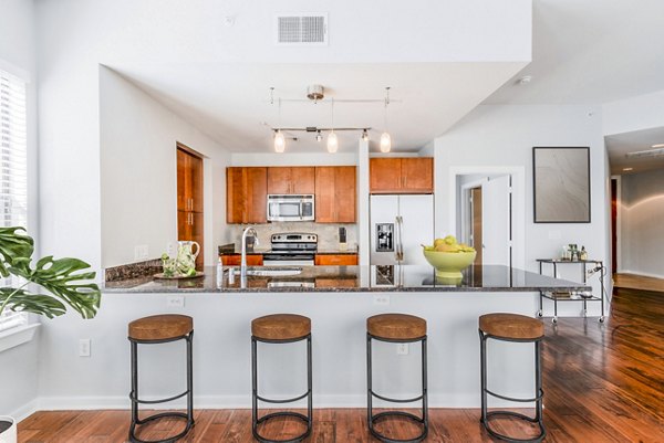 Modern kitchen with stainless steel appliances and granite countertops at The Dylan Apartments, a luxury Greystar property