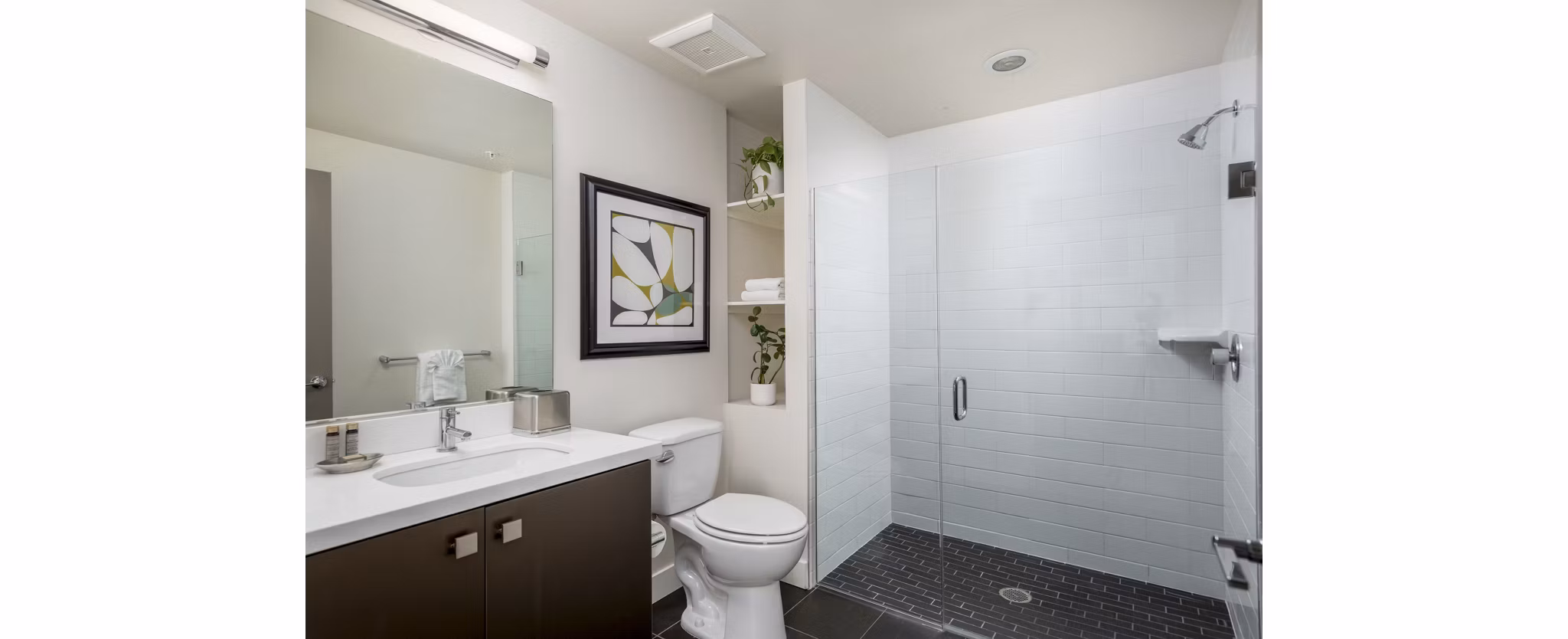 Modern bathroom featuring a sleek shower, stylish sink, and decorative plants in luxury apartments