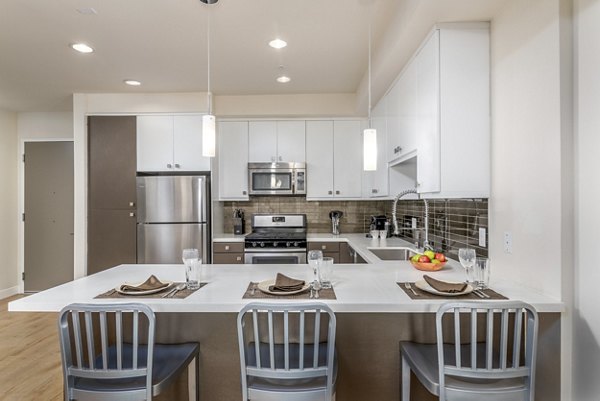 Modern kitchen with stainless steel appliances at mResidences Olympic & Olive Apartments