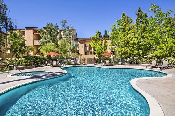 Resort-style pool at mResidences Silicon Valley Apartments featuring lounge chairs and landscaped surroundings