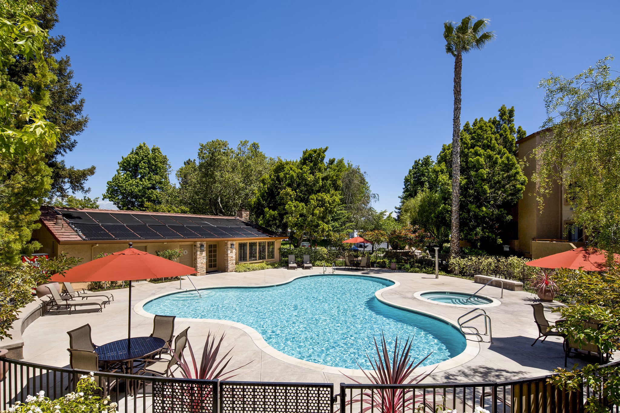 Resort-style pool with lounge chairs at mResidences Silicon Valley Apartments