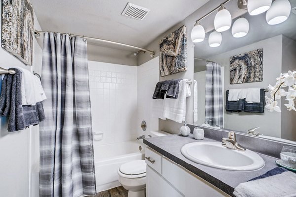 Loretto Heights Apartments: Elegant bathroom with modern fixtures in luxury community