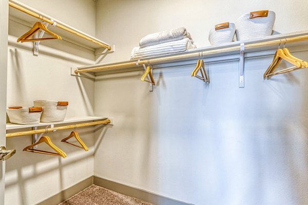 Bedroom closet with custom shelving at The Banks of Springdale Apartments