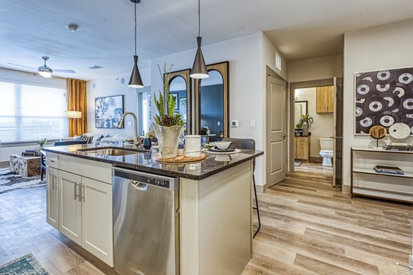 Modern kitchen with stainless steel appliances at The Banks of Springdale Apartments