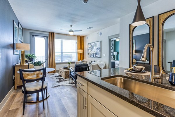 Modern kitchen with stainless steel appliances at The Banks of Springdale Apartments, offering luxury living
