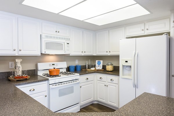Modern kitchen with stainless steel appliances at St Moritz Apartments, a luxury living space by Greystar