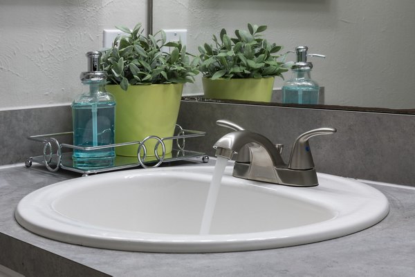 Bright bathroom with modern fixtures in Four Lakes at Clearwater Apartments