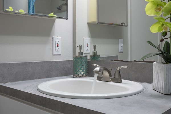 Bathroom featuring modern fixtures and marble countertops in Four Lakes at Clearwater Apartments