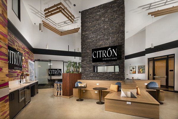 Clubhouse featuring modern design and cozy seating at Citron Apartments luxury community