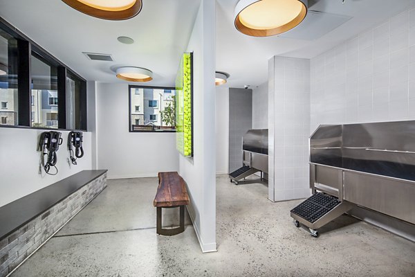 On-site dog wash station at Citron Apartments, a luxury feature for pet owners in this premium property