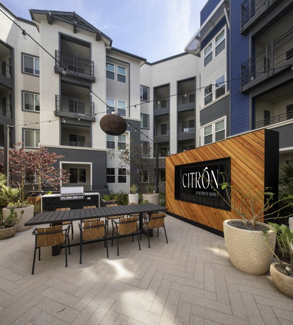 Charming courtyard with lush greenery at Citron Apartments, a Greystar luxury community