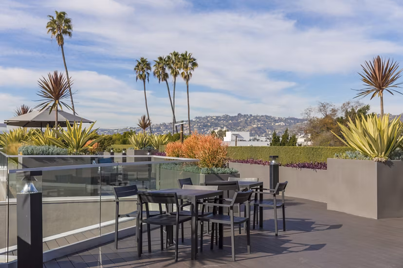Courtyard with lush landscaping at The LC Apartments, a Greystar luxury property