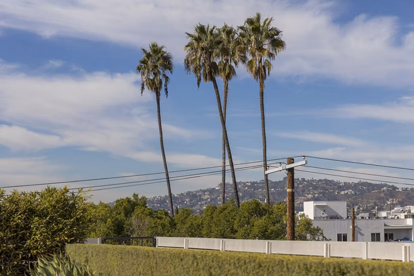 View of The LC Apartments: Modern luxury apartments surrounded by greenery and city views