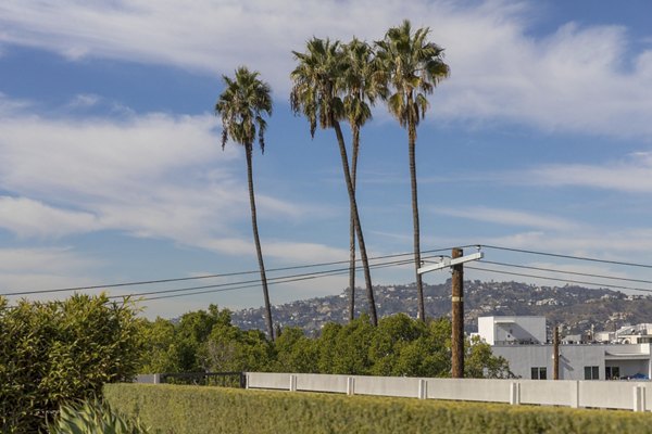 View of The LC Apartments: Modern luxury apartments surrounded by greenery and city views