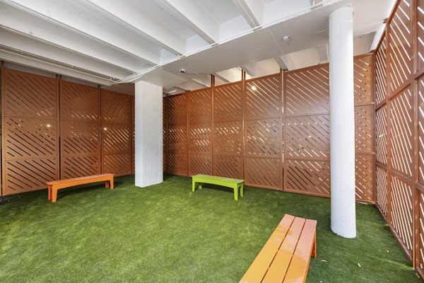 Dog-friendly park with agility equipment at Elev8 Apartments