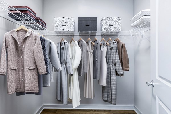 Spacious bedroom closet with ample shelving in Vista Fairfax Corner Apartments