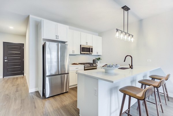 Modern kitchen featuring stainless steel appliances in DASH Downers Grove luxury apartments