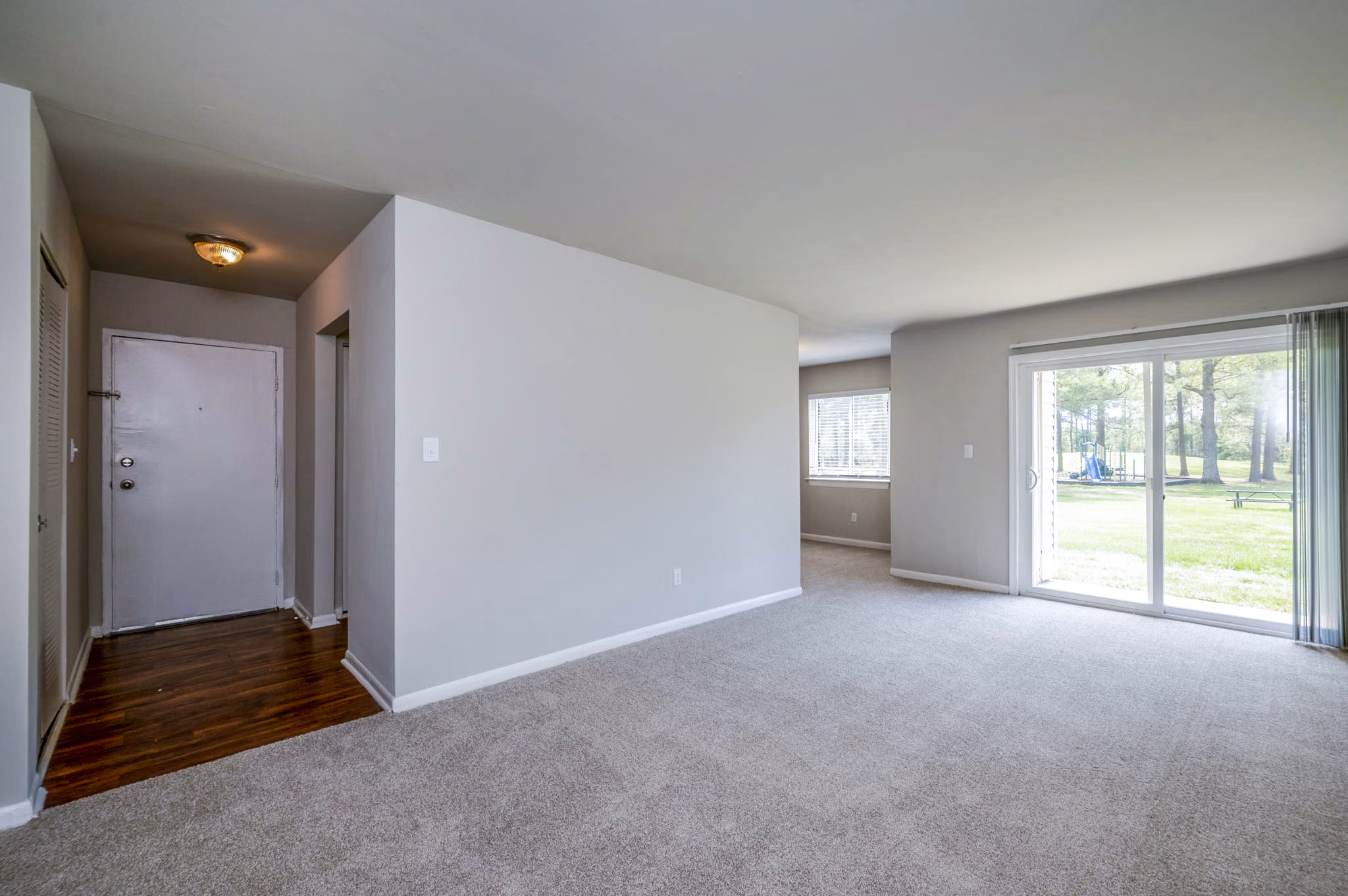 Cozy living room with contemporary decor at Woodshire Apartments