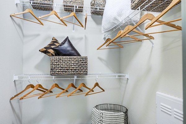Spacious walk-in closet with ample shelving in Harlow Spring Cypress Apartments