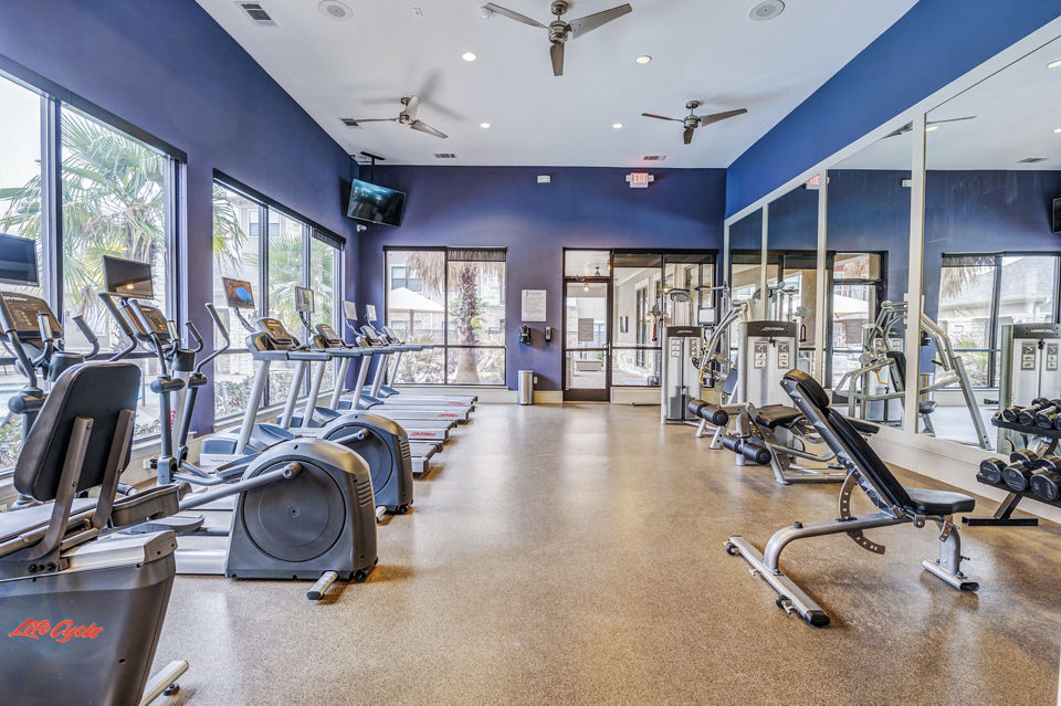 Modern fitness center with state-of-the-art equipment at Harlow Spring Cypress Apartments, offering residents a premium workout experience