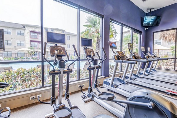 fitness center at Harlow Spring Cypress Apartments