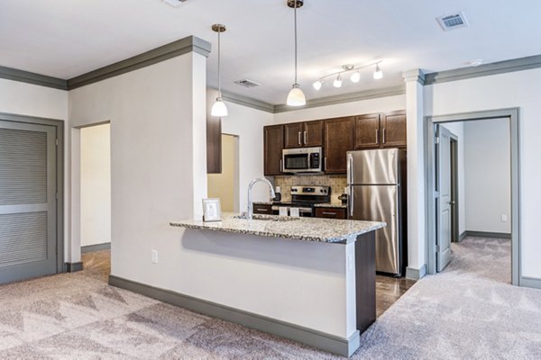 Modern kitchen with stainless steel appliances in Harlow Spring Cypress Apartments