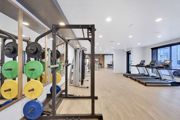 State-of-the-art fitness center at The Dorsey Apartments featuring modern equipment and spacious workout areas