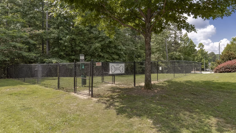 Leash-free dog park with agility equipment at The Slate Apartments for pet-friendly fun